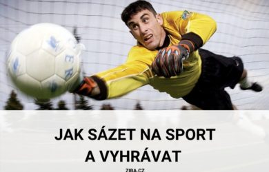 Jak sázet na sport a vyhrávat. Brankář.