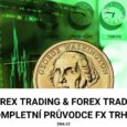 Forex trading & forex trader_průvodce fx trhem