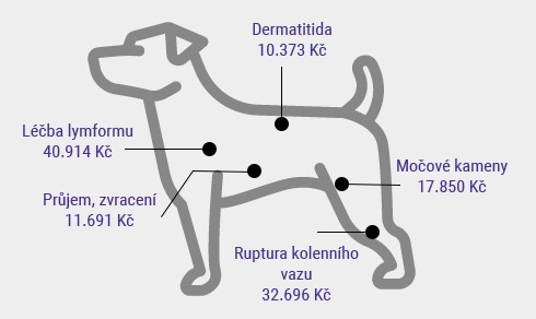 Kolik stojí léčba psa (příklady)