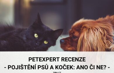 PetExpert recenze o pojištění psů a koček