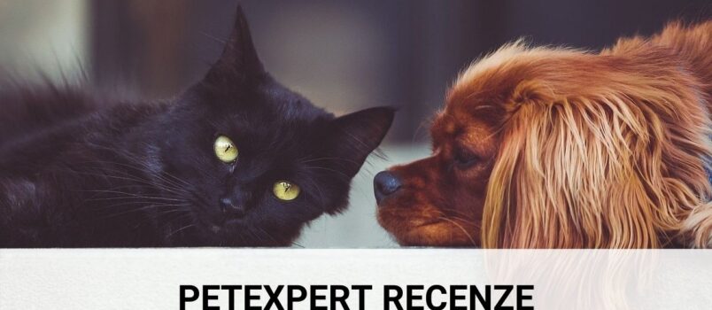 PetExpert recenze o pojištění psů a koček